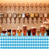 Hegbolke 4 Pack Oktoberfest Tablecloths - Blue and White Checkered