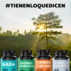 Turmeric Cúrcuma Extracto Raíz Estandarizada Pimienta Negra Curcumina Curcuminoides Suplemento