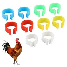 Chicken Leg Rings 10 Pcs Adjustable Clip On Poultry Identification Bands Plastic Foot Rings Reusable Long-lasting 5 Colors Red Yellow Blue Green White for Chickens Ducks Small Large Fowl 16mm