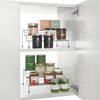 Metaltex Spice Rack