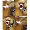 Dog Muzzles Anti Bite Silicone Duck-Bill Duck Mouth Shape Dog