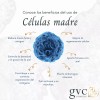 GVC Cosmetics Suero Estimulador De Pestañas Células Madre Gvc Cosmetics