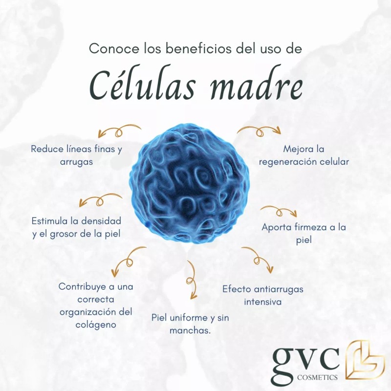 GVC Cosmetics Suero Estimulador De Pestañas Células Madre Gvc Cosmetics