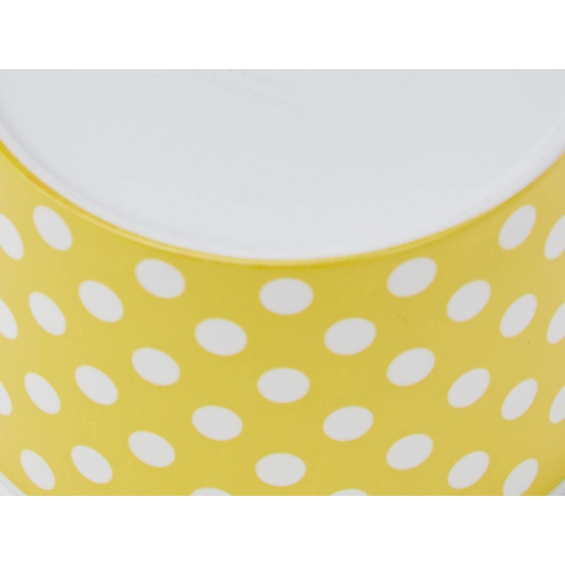 Zak Dotty Sundae Diameter 8 cm with Ice Cream Scoop,