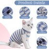 CITÉTOILE Cat Bodysuit After Surgery, Post-Operative Cat Clothes for Abdominal