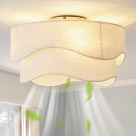 DSYBRI Flush Mount Ceiling Fan with Lights, 20" Low Profile Boho Ceiling Fan with Light Remote Control, Caged with 6 Speeds for Bedroom, Nursery, Living Room