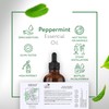 HBNO California Bottled Peppermint Essential Oil 4 fl oz (120ml)