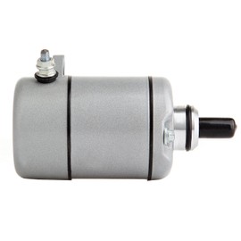FEIPARTS Starter Motor Replacement for Honda TRX250 Recon 1997-2001 TRX250EX Sportrax 2001-2008 TRX250TE/TRX250TM Fourtrax Recon 2002-2007 TRX250X 2009-2013 229cc 18336 31200HM8A41 18336N