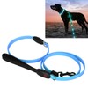 Outdoor Dog LED Collars with Leashes Set USB Rechargeable Pet