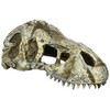 Exotella GEX EXOTERRA T-REX Skull S PT2860 Reptile Shelter Ornament