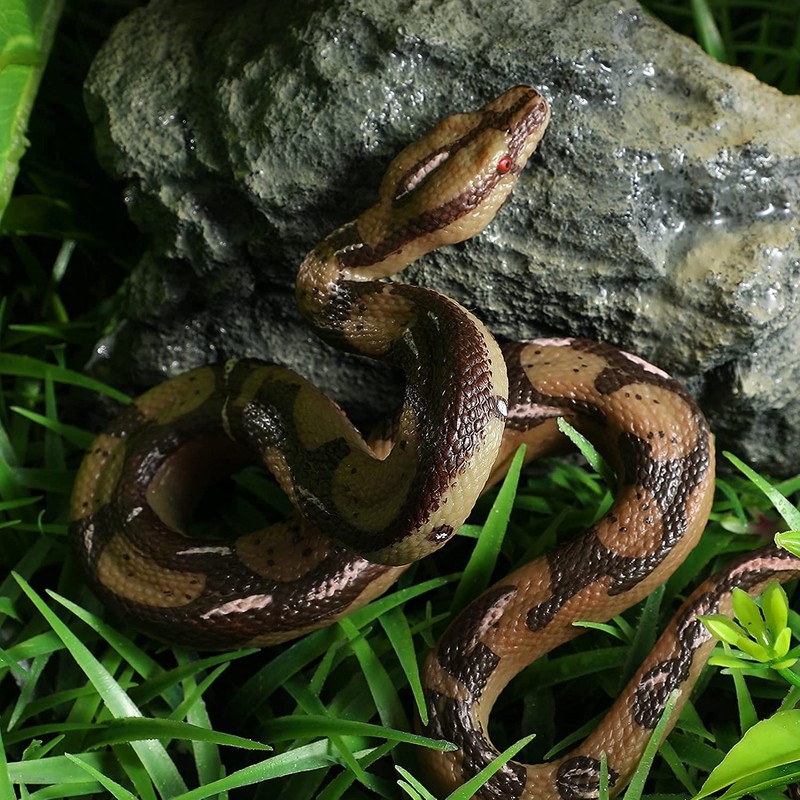 BOTICAKO BOTICAKO Realistic Fake Snake & Fake Spider, Prank Stuff