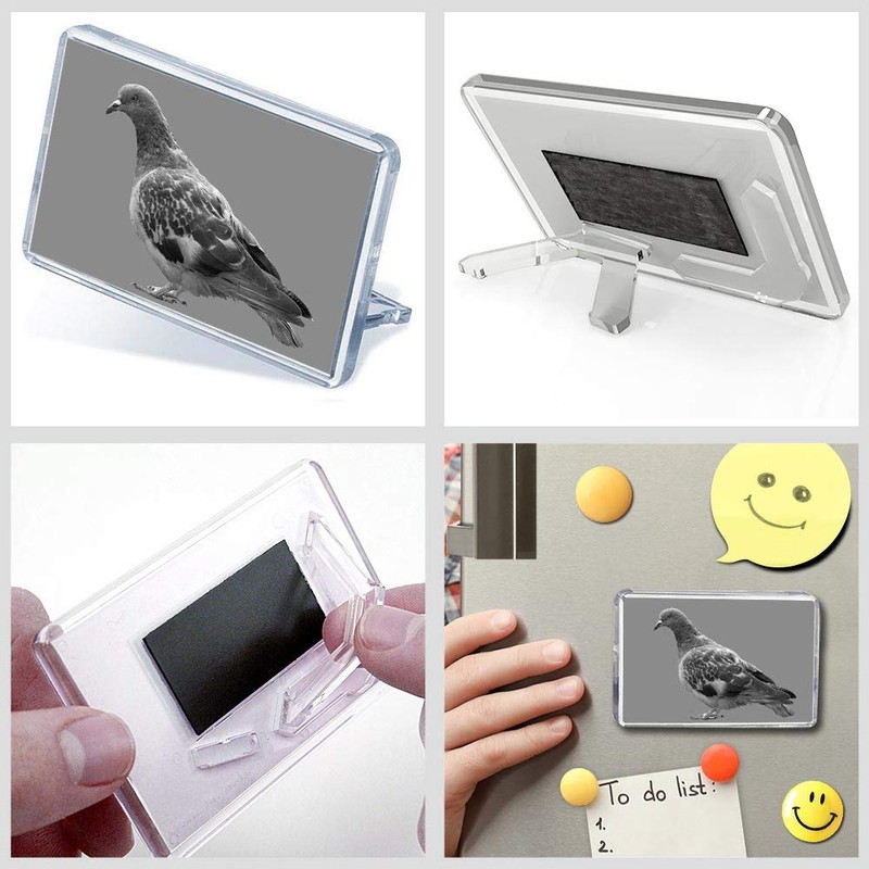 1 x Fridge Magnet - Grey Pigeon Wildlife Bird #36218