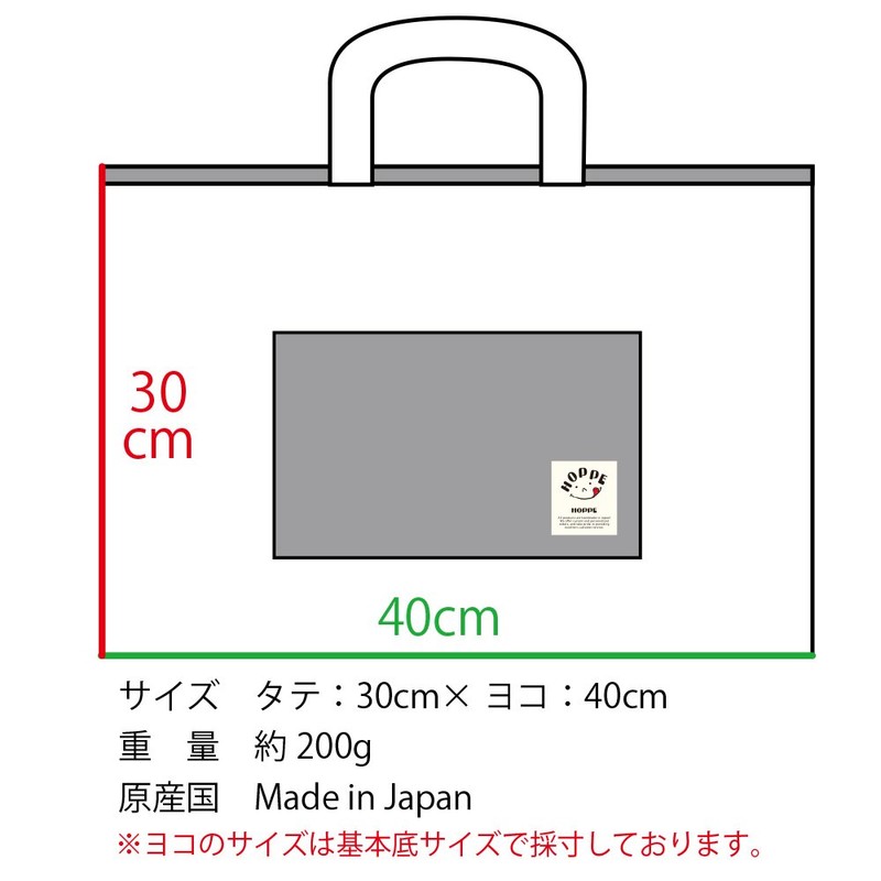 Red Stripe Lessons Bag