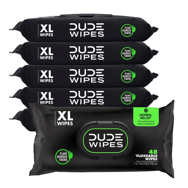 Dude Dude Wipes - Flushable Wipes - 6 Pack, 288