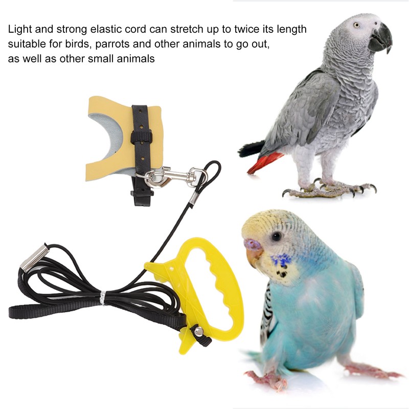Bird Harness Leash Elastic Easy To Wear Portable Bird Traction