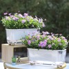 5 Pack Rectangular Planter 11.8 x 4.6 in Self Watering