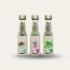Teaballs Organic Natural Herb Set of 3 - Fennel, Sage,