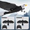 Bird Plane Toy 2 Channels Broken Resistant Remote Control Bird
