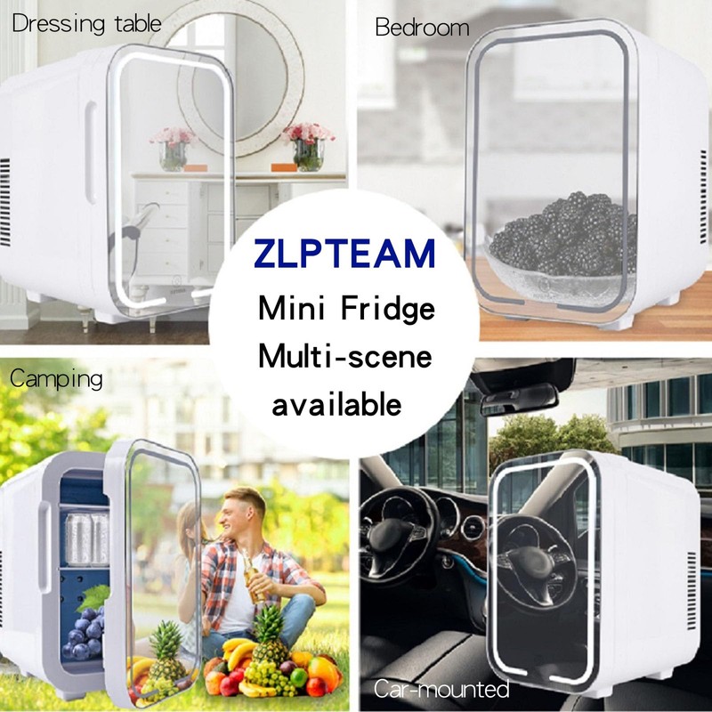 ZLPTEAM Mini Fridge with Mirror Door & Adjustable LED Lights