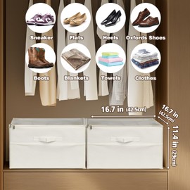 EDS FAM 2Pack Shoe Storage Organizer for Closet, Large Shoe Box Storage Containers with Clear Cover, Foldable Shoe Storage Containers Baskets Boxes Bins