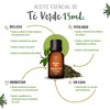 OLEUM VITAE Kit Mezclas de Aceites Esenciales Vitalidad. 100% Puros