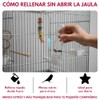 Redkite Bebedero para Aves 75 ml para Pájaros y Pequeños