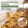 10.58 oz Horticultural Grade Rice Hulls for Plants – Natural