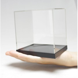 CPC-M1 Crystal Plastic Case M-1