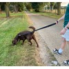 Police Style Dog Training Leads Double Ended Leash Obedience Control