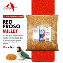 Morning Bird Red Proso Millet Bird Seed Bag – Healthy & Nutritious Pet Bird Food is Ideal for Seed Eating Birds - Parakeets, Finches, Cockatiels 9 lbs