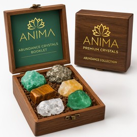 Anima Premium Abundance Crystals and Healing Stones Set with Guide Booklet - Large Raw Healing Crystals and Stones Set in Wooden Box for Prosperity, Success & Good Luck - Ethically Sourced