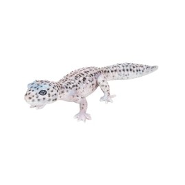 Uvia Leopard Lizards, Black and White, 7.3 x 3.0 x 1.6 inches (18.5 x 7.5 x 4 cm), Doll, Figurine, Animal, Garden, Decoration, Lizard, H17338-1