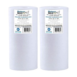 2-Pack of Baleen Filters 10" x 4.5" 25 Micron Depth Sediment Filter Cartridge Replacement for HDX SDC-45-1020, Watts FPMB-BB20-978, Pentek DGD-7525