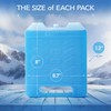 Large Reusable Ice Packs for Cooler with Handle (2 Pack)