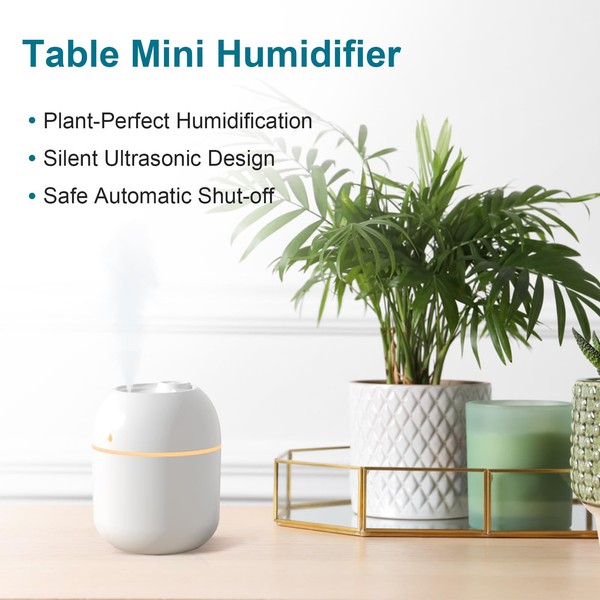 Portable Small Humidifier, USB Personal Desktop Humidifier for Car, Office