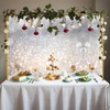 Fanghui Silver White Bokeh Photo Backdrop 7*5ft Golden Silver White