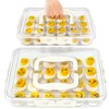 MesRosa 2 Pack Deviled Egg Containers with Lid and Handle,
