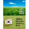 FARMER QUEEN [7.05oz] Korea Pure 100% Dried Mulberry Leaf Powder
