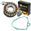 Celox Stator & Gasket for Yamaha Mountain Lite PZ50M/Phazer Gt