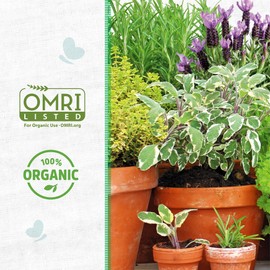 Back to The Roots 100% Organic Vermiculite | Made in The USA | Premium Nutrition for Indoor and Outdoor Plants