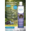 Shampoo Tipo Aceite Oso 530ml Shelo Nabel