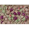 Assorted Blow Pops Watermelon Strawberry Cherry Grape Sour Apple -