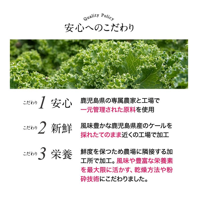 【鹿児島県産】オーガランド ケール 粉末 100g 青汁 ケールパウダー ケール青汁 加熱殺菌加工済