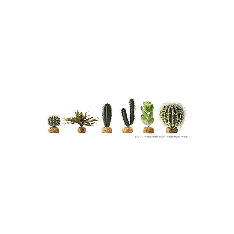 Exo Terra Barrel Cactus Terrarium Plant, Medium