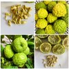 Kaffir Lime Tree Organic 5 Seeds Fresh