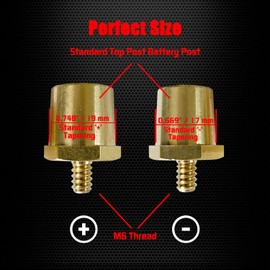 Ampper M6 Thread Male Brass Battery Terminal Charging Posts, M6 Battery Post Adapter (+/-) for Extension, Pack of 2