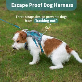 Huntboo Reflective Dog Harness with Handle, Escape Proof, No Slip, Breathable, Lightweight, Adjustable Lift Harness for Small, Medium, and Large Dogs Walking, Training, and Running Gear(Teal Blue,XS)