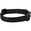 Blueberry Pet Essentials 21 Colors Classic Dog Collar, Black, Small,