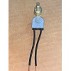 CANAL Brass Push button switch 6A 125V, 1 1/8" thread,