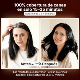 Herbishh - Champú colorante para cabello gris, champú con tinte natural para el cabello, colorea el cabello en minutos, dura hasta 3 o 4 semanas, 500 